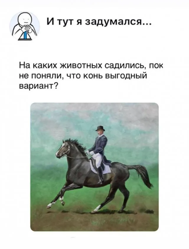 Подборка из серии "и тут я задумался" Подборка из серии "и тут я задумался"