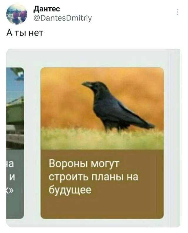 Подборка забавных твитов обо всем Подборка забавных твитов обо всем