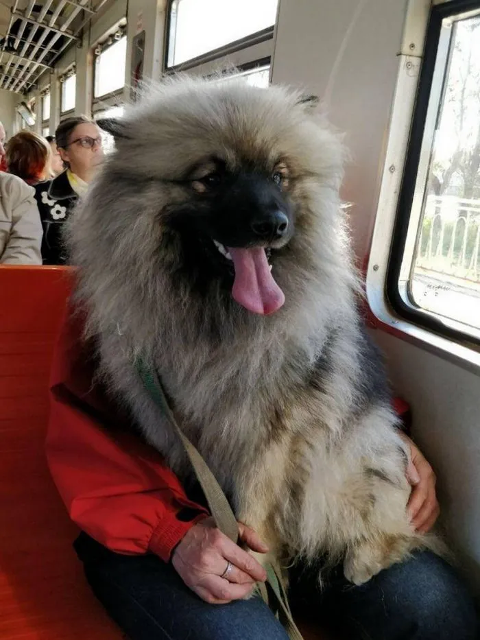 Фотоподборка Фотоподборка