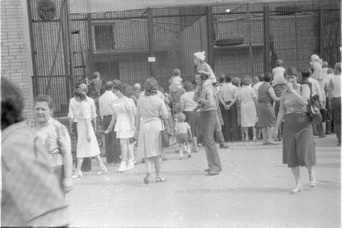 Москва 80-х глазами провинциалов Москва 80-х глазами провинциалов