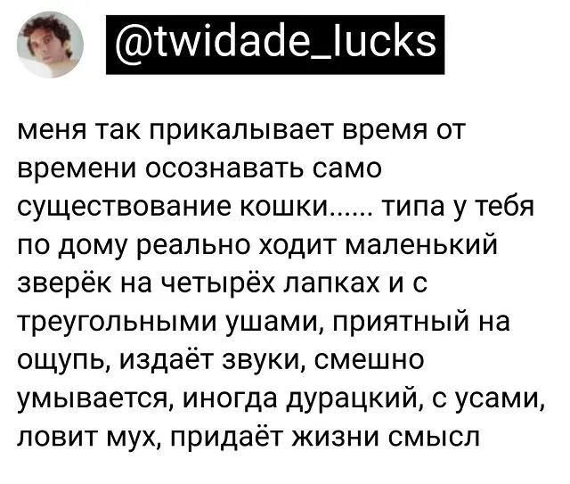 Подборка забавных твитов обо всем Подборка забавных твитов обо всем