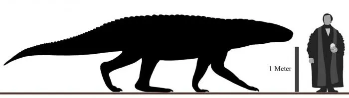 Зубастый бариназух. Самый крупный наземный хищник после того, как на Земле вымерли динозавры