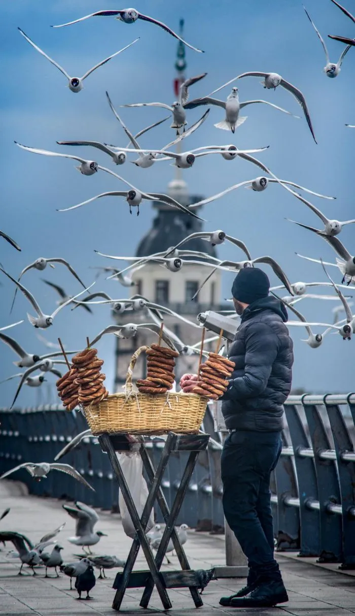 Фотоподборка Фотоподборка