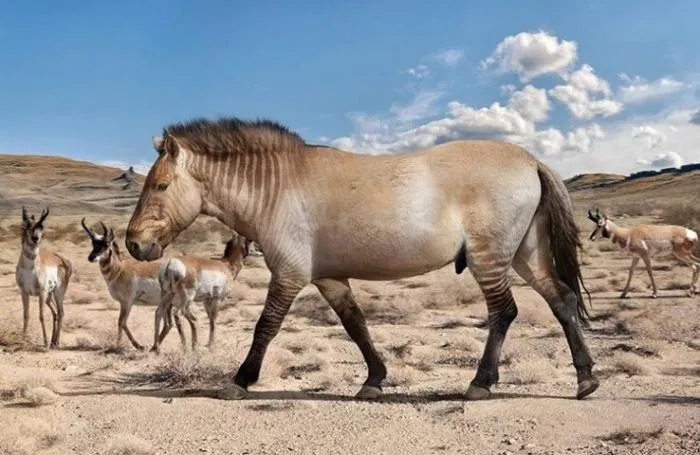 Гигантская лошадь: Конь размером с бизона. Никакая современная лошадь не сравнится с этим видом по габаритам!