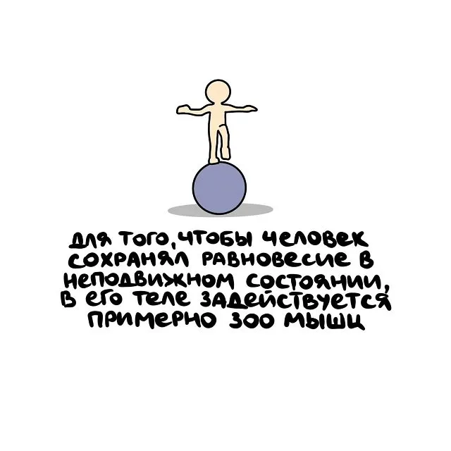 Интересные факты на все случаи жизни Интересные факты на все случаи жизни