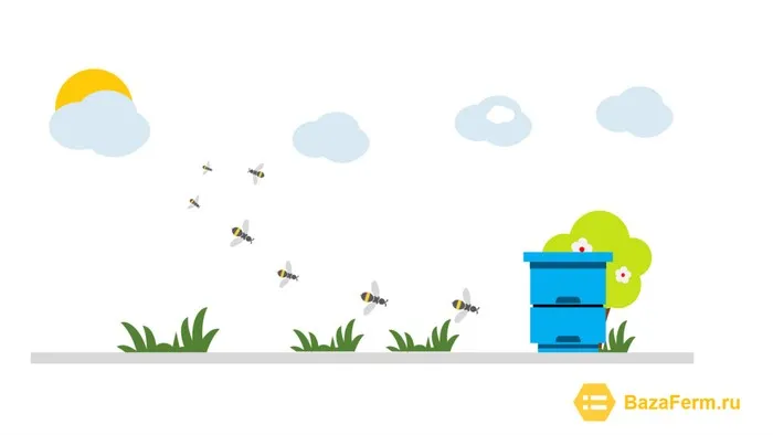 Как пчелы собирают пыльцу?