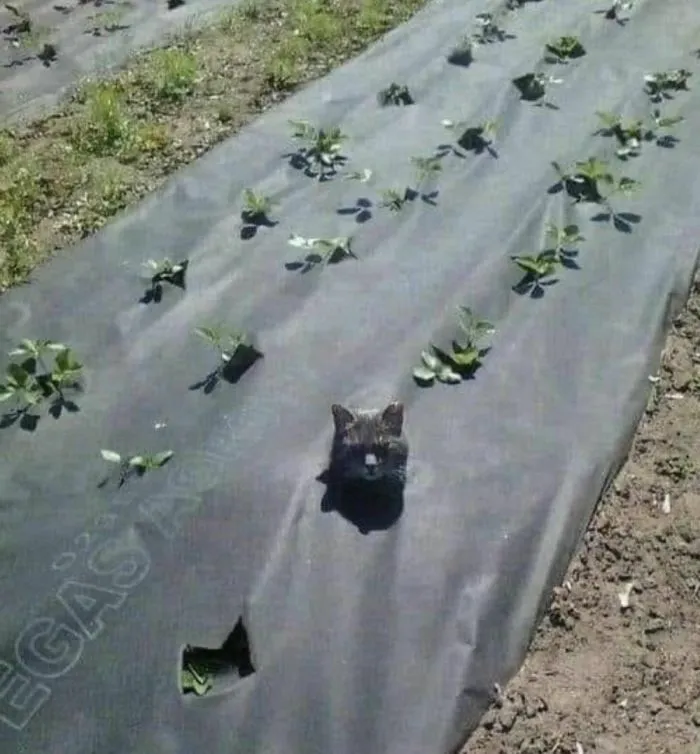 Фотоподборка Фотоподборка
