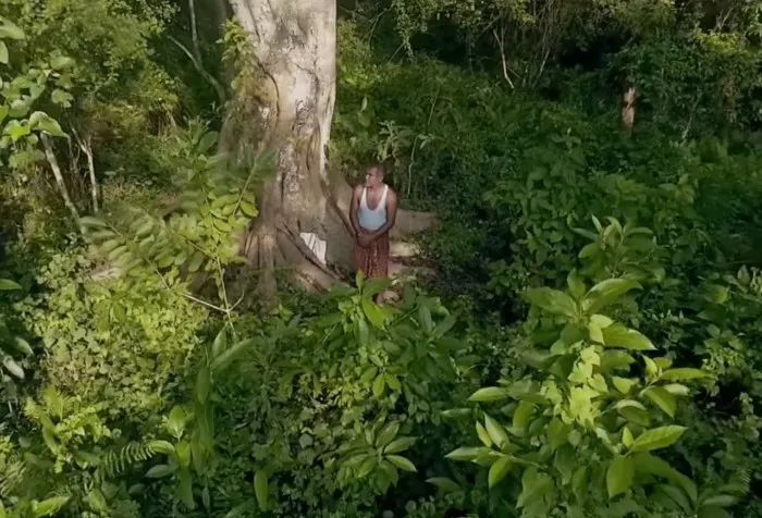 Один человек, одно дерево, одна экосистема: история мужчины восстановившего индийские джунгли⁠⁠