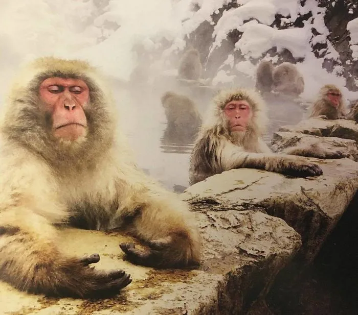 Фотоподборка Фотоподборка