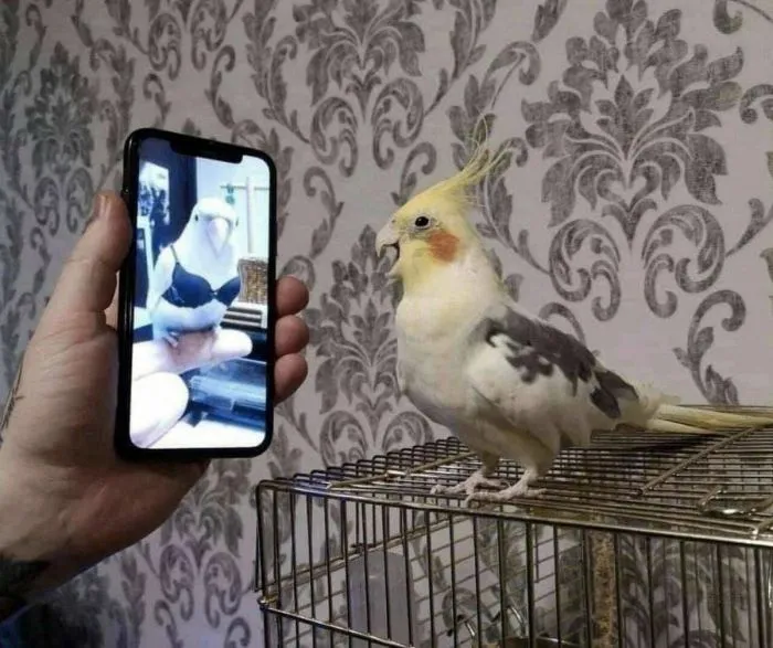Фотоподборка Фотоподборка