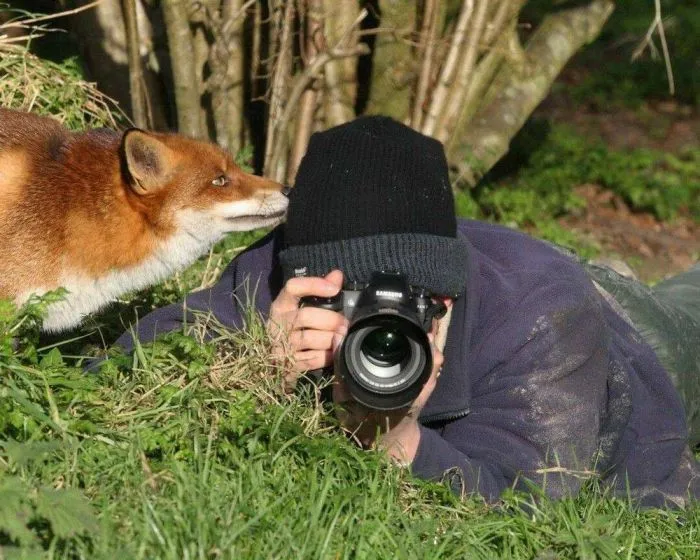 Фотоподборка Фотоподборка