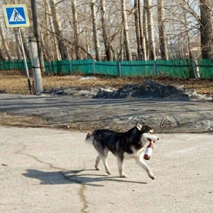 Просто фото