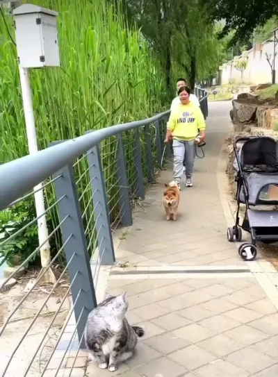 Проходи не бойся⁠⁠