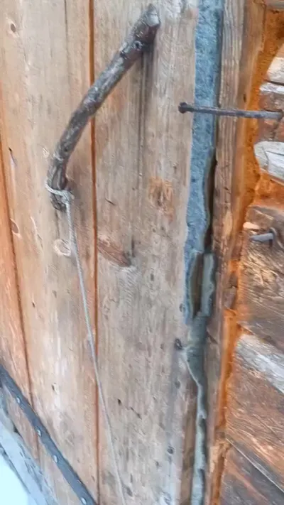 Закон Тайги