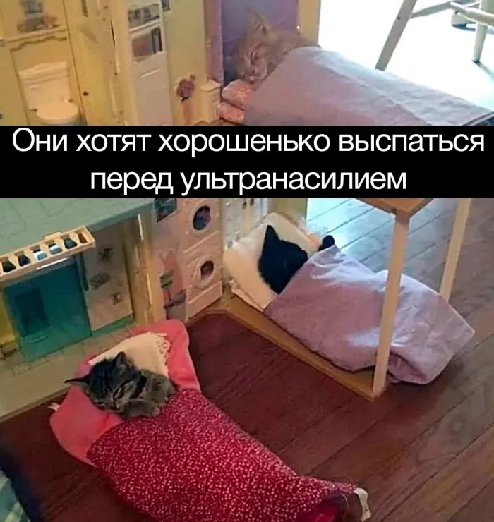 Нестандартный юмор :)