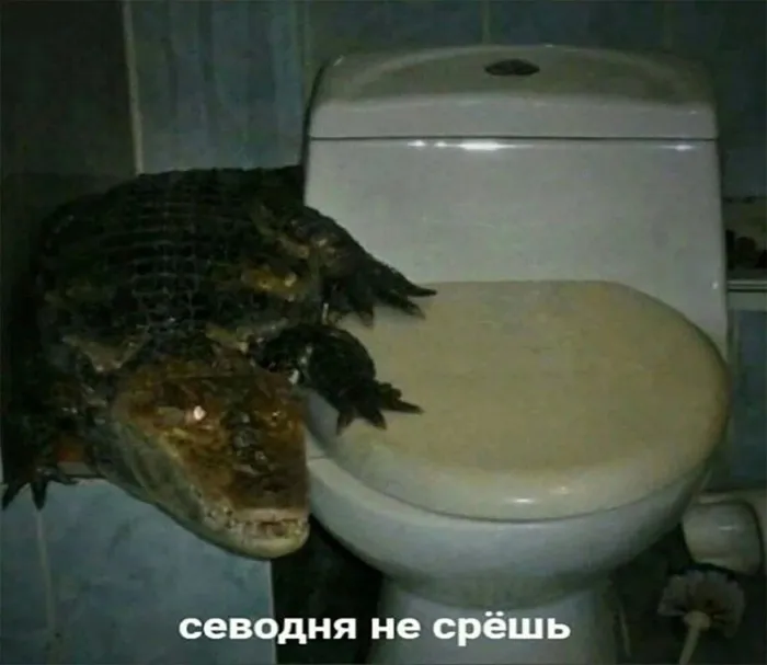 Нестандартный юмор (16/05/2023)