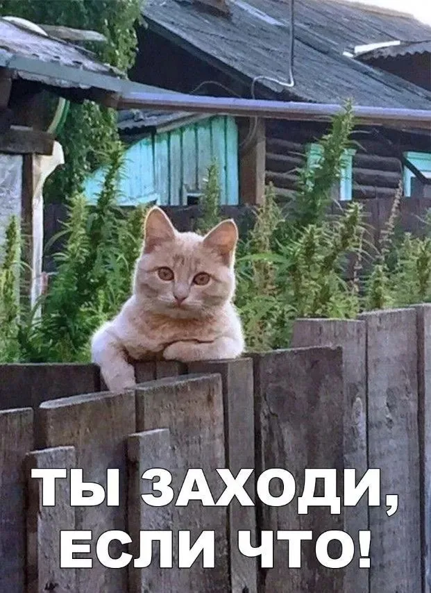 Прикольные и просто красивые картинки Прикольные и просто красивые картинки