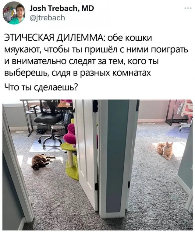 Так себе картинки Так себе картинки