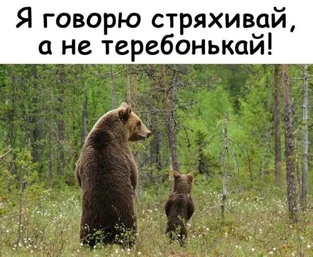Картинки и мемы Картинки и мемы