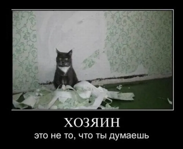 Картинки с надписями Картинки с надписями