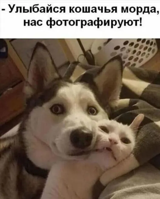 Так себе картинки Так себе картинки