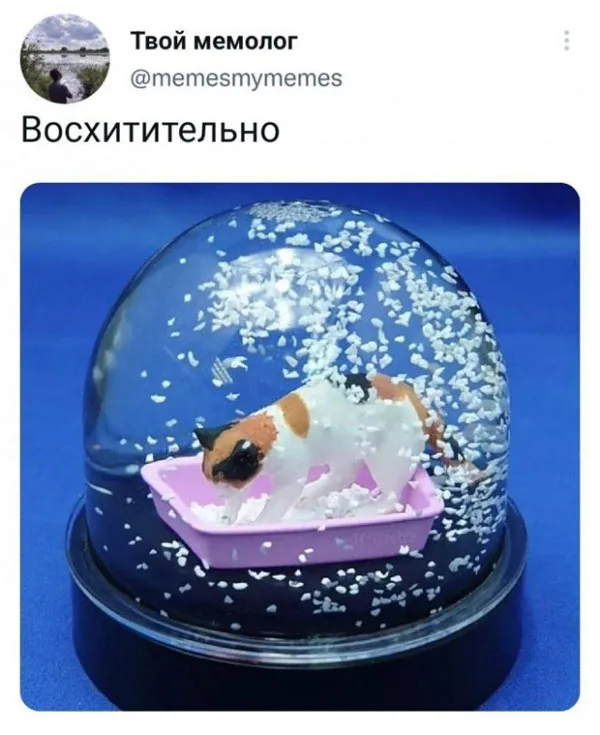 Баяны