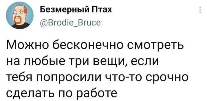 Скрины из соцсетей Скрины из соцсетей