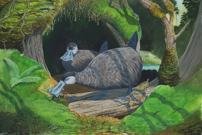 Талпанас липпа: Слепая кротоутка. Ходила с чутким носом-лопатой и почти не умела плавать. Как такое существо могло выжить?