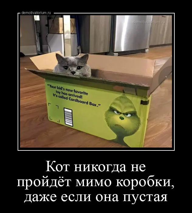 Демотиваторы Демотиваторы