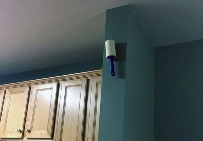 «Я живу с чудовищем»: 30 человек, которых близкие пристыдили на весь интернет