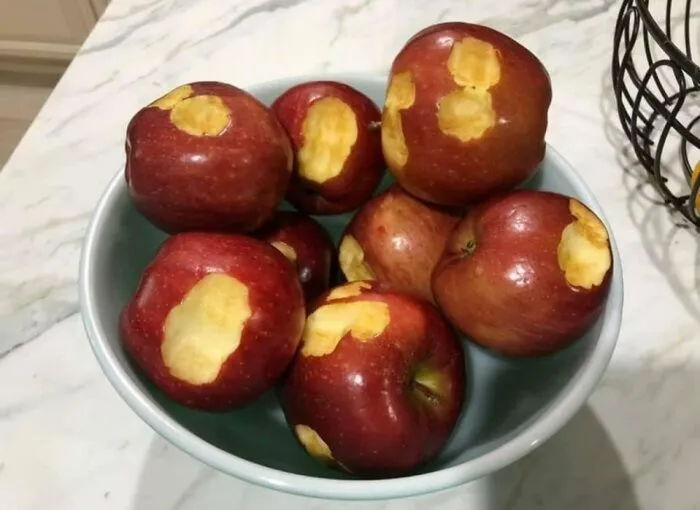 «Я живу с чудовищем»: 30 человек, которых близкие пристыдили на весь интернет