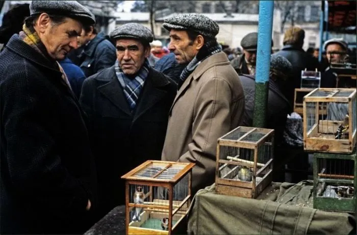 Фотографии из прошлого