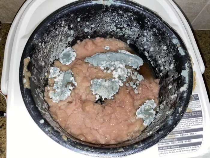 Люди, рядом с которыми так и хочется захрюкать Люди, рядом с которыми так и хочется захрюкать