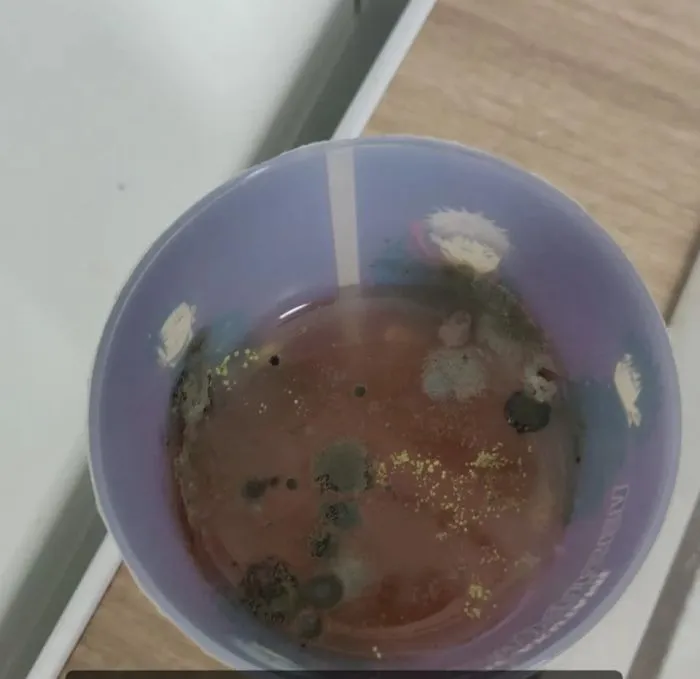 Люди, рядом с которыми так и хочется захрюкать Люди, рядом с которыми так и хочется захрюкать