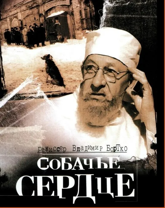 Прикольные и просто красивые картинки