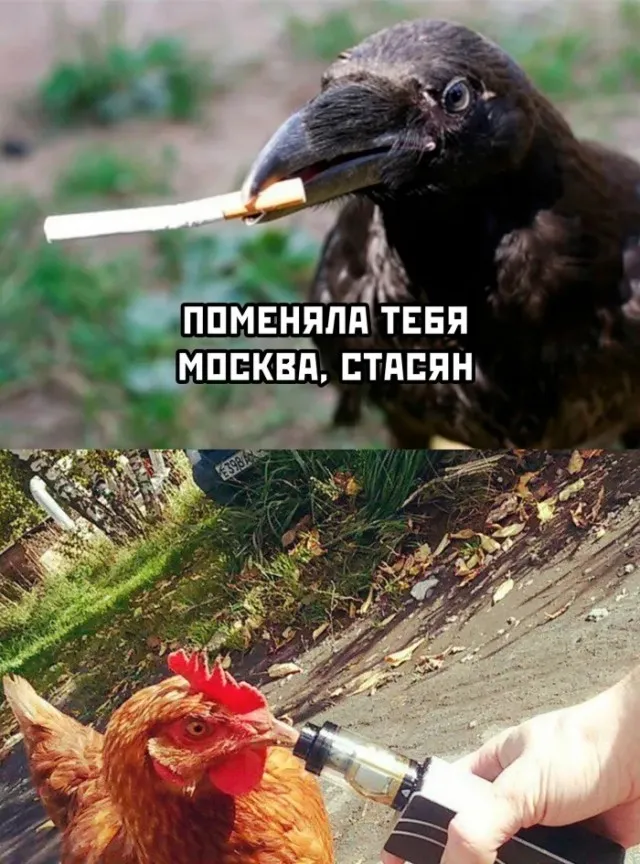 Так себе картинки