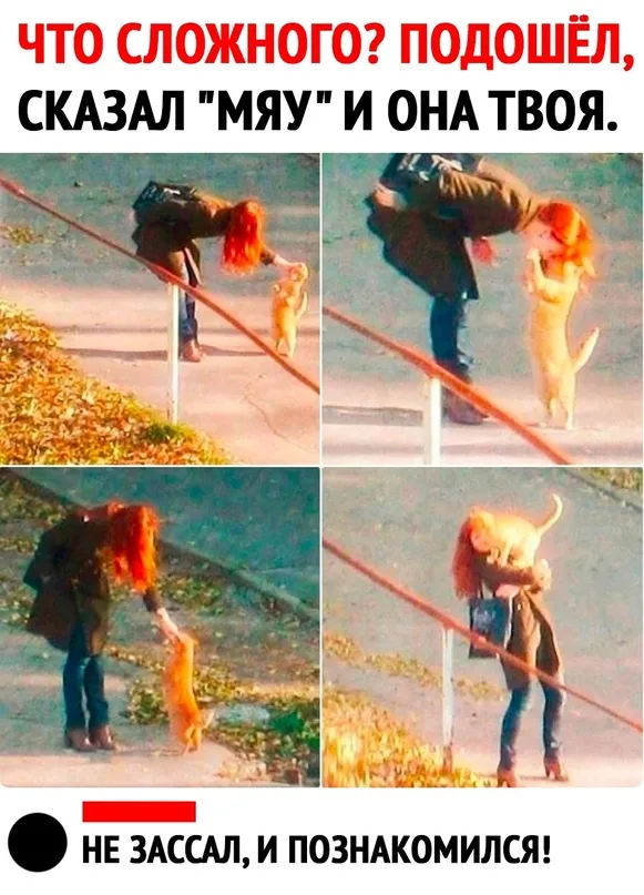 Весёлые Весёлые