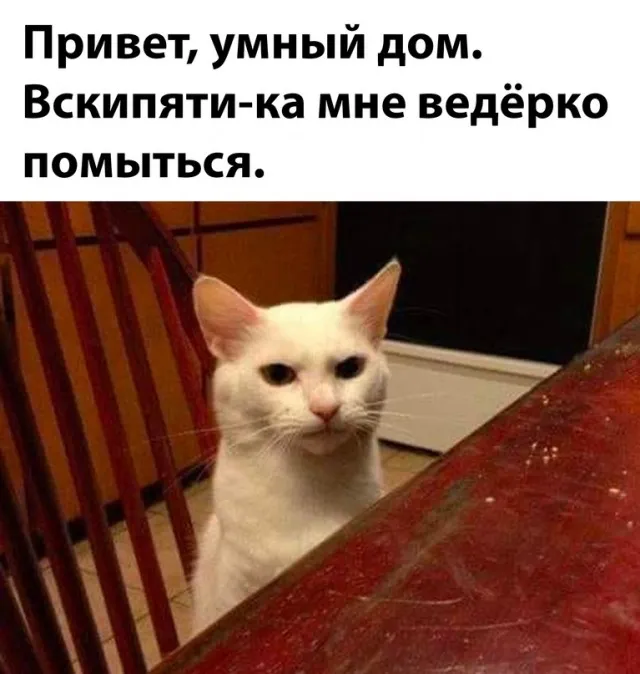 Весёлые Весёлые