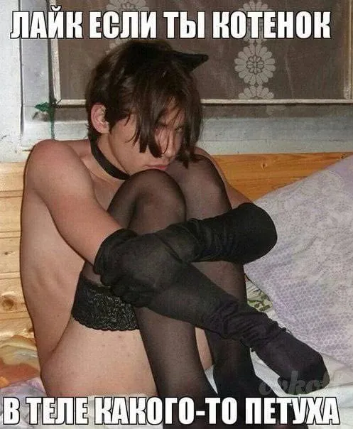 Картинки Картинки