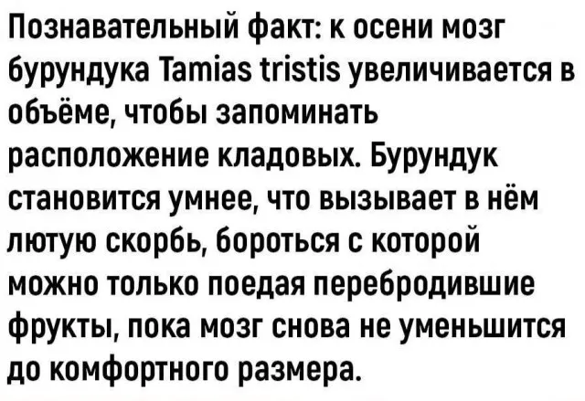 Околонаучная деградация Околонаучная деградация