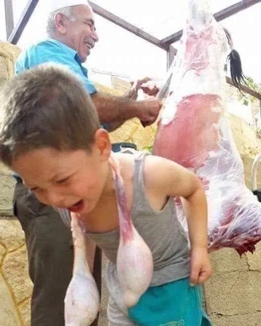 Нестандартный юмор :)