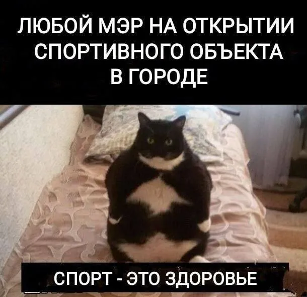 Фотоприколы и прикольные картинки Фотоприколы и прикольные картинки