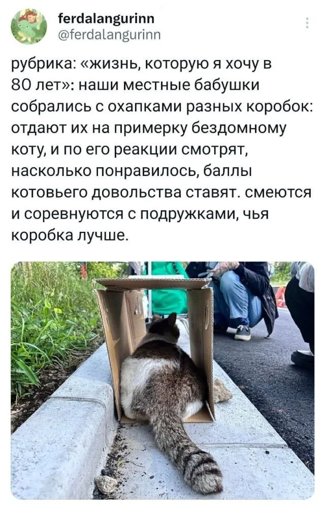 Фотоприколы и прикольные картинки Фотоприколы и прикольные картинки