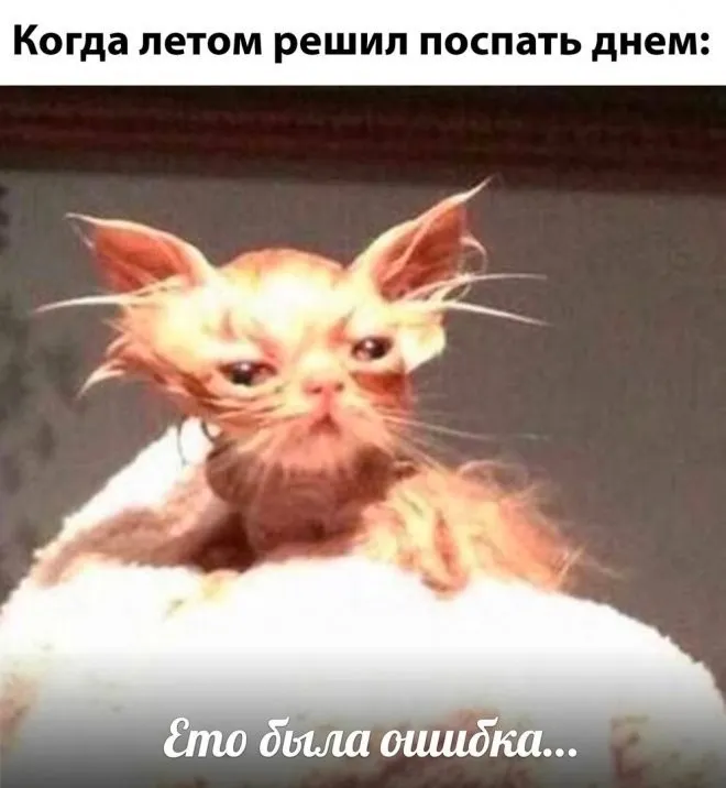 Фотоприколы и прикольные картинки Фотоприколы и прикольные картинки