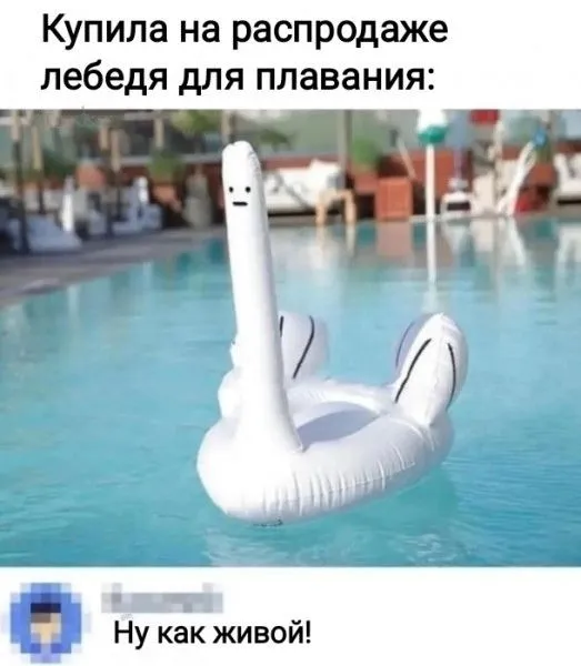 Фотоприколы и прикольные картинки