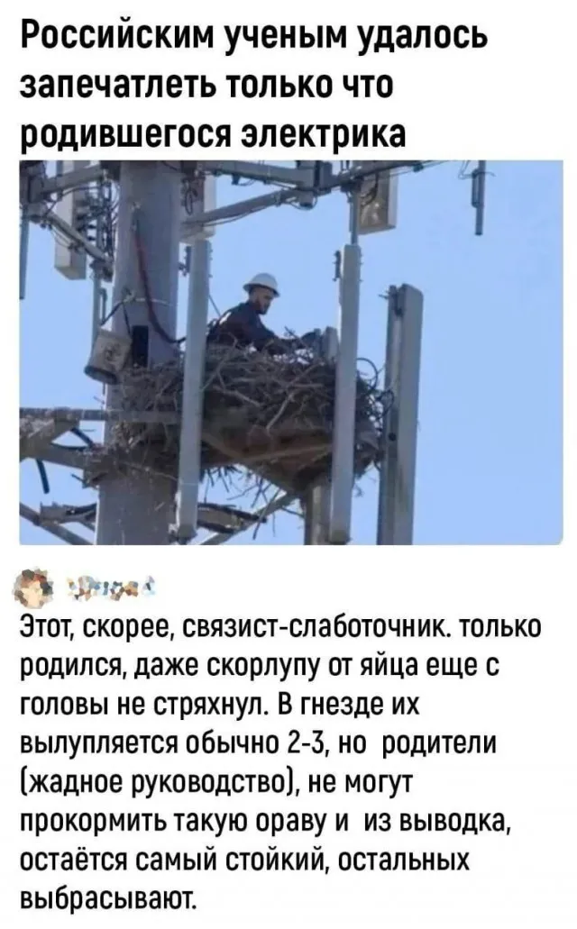 Фотоприколы и прикольные картинки