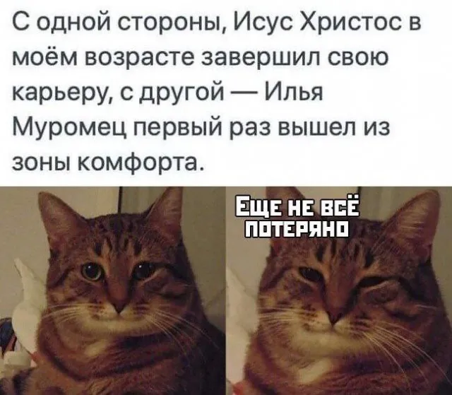 Фотоприколы и прикольные картинки