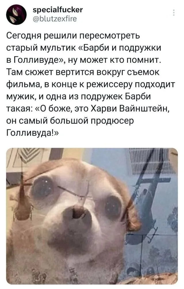 Скрины из соцсетей