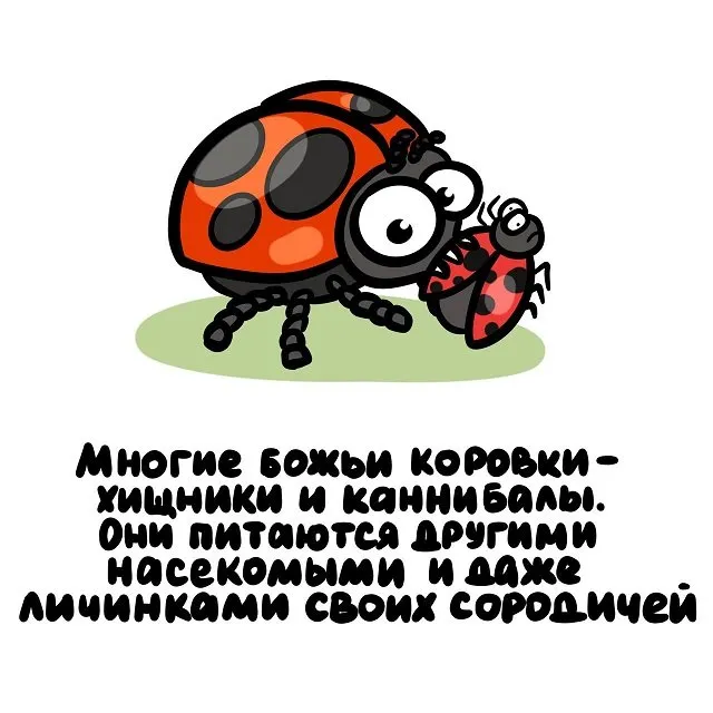 Интересные факты на все случаи жизни