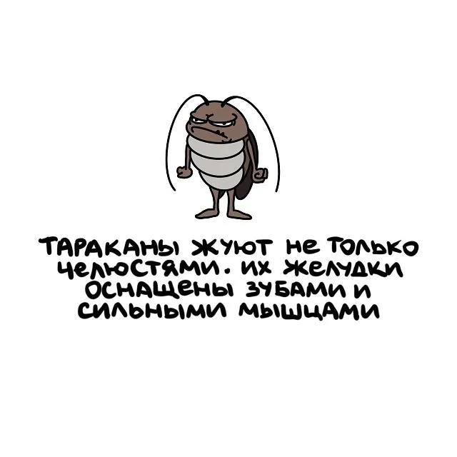 Интересные факты на все случаи жизни